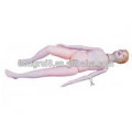 Multifunktionales Patient Care Manikin